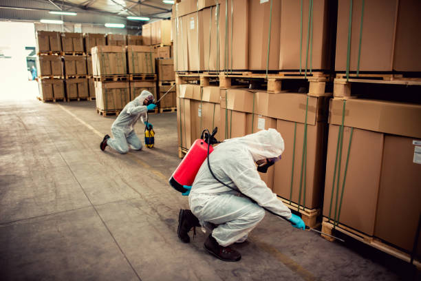 Best Mosquito Control Services  in Goodland, IN