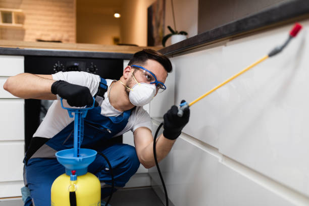 Best Residential Pest Control  in Goodland, IN