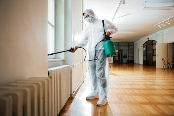 Best Flea Control Services  in Goodland, IN