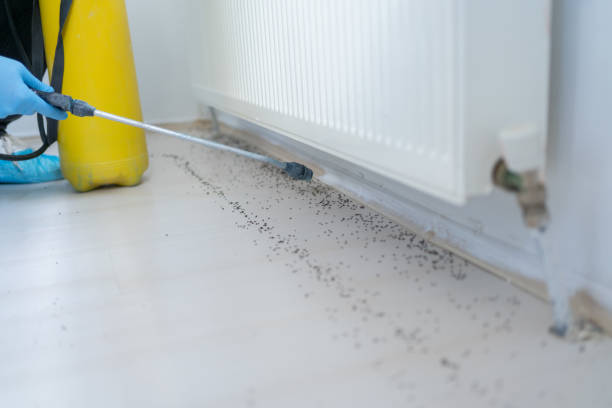 Best Commercial Pest Control Services  in Goodland, IN