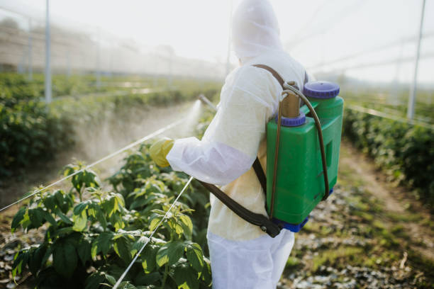Best Best Pest Control Companies  in Goodland, IN
